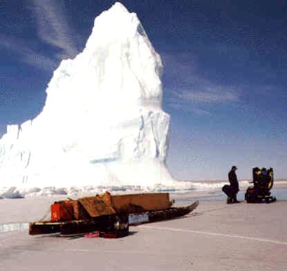 Consulting on an Ice Floe